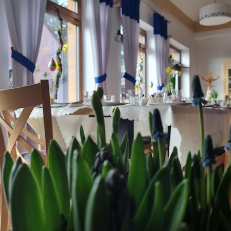 Zakatek Reja Apartment Kartuzy Luaran gambar